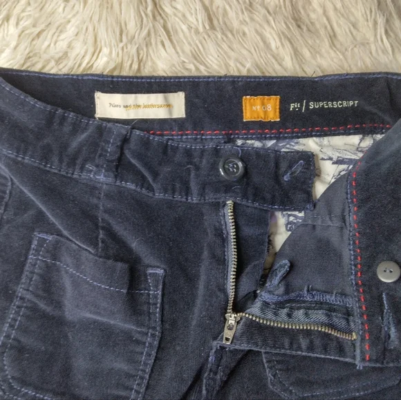 Anthropologie Pilcro and the Letterpress Superscript Flare Corduroy Pants Size 8